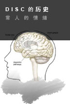 APESK基于马斯顿博士DISC模型完整版测试